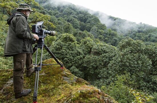 Der Kleine Panda – Verborgen im Himalaya