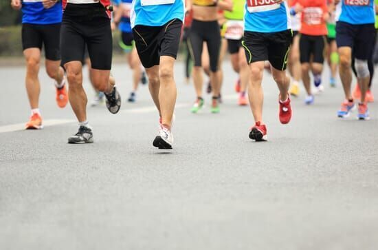 Wachau Marathon 2023, Highlights