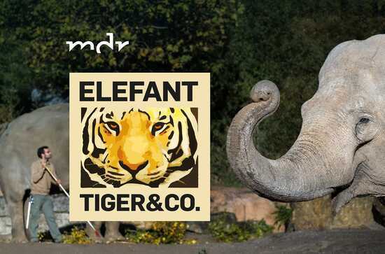 Elefant, Tiger & Co.