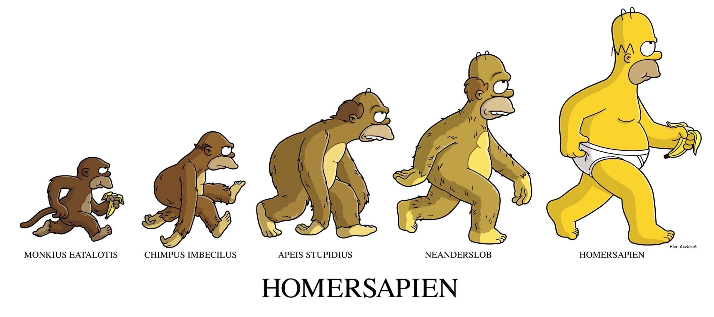 Les Simpson - Le vrai descendant du singe