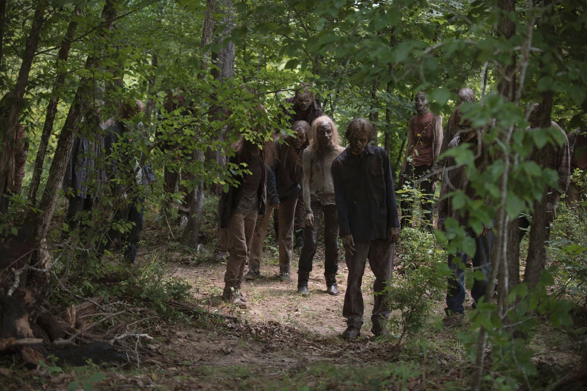 The Walking Dead: Invazia zombi - Viaţa de după