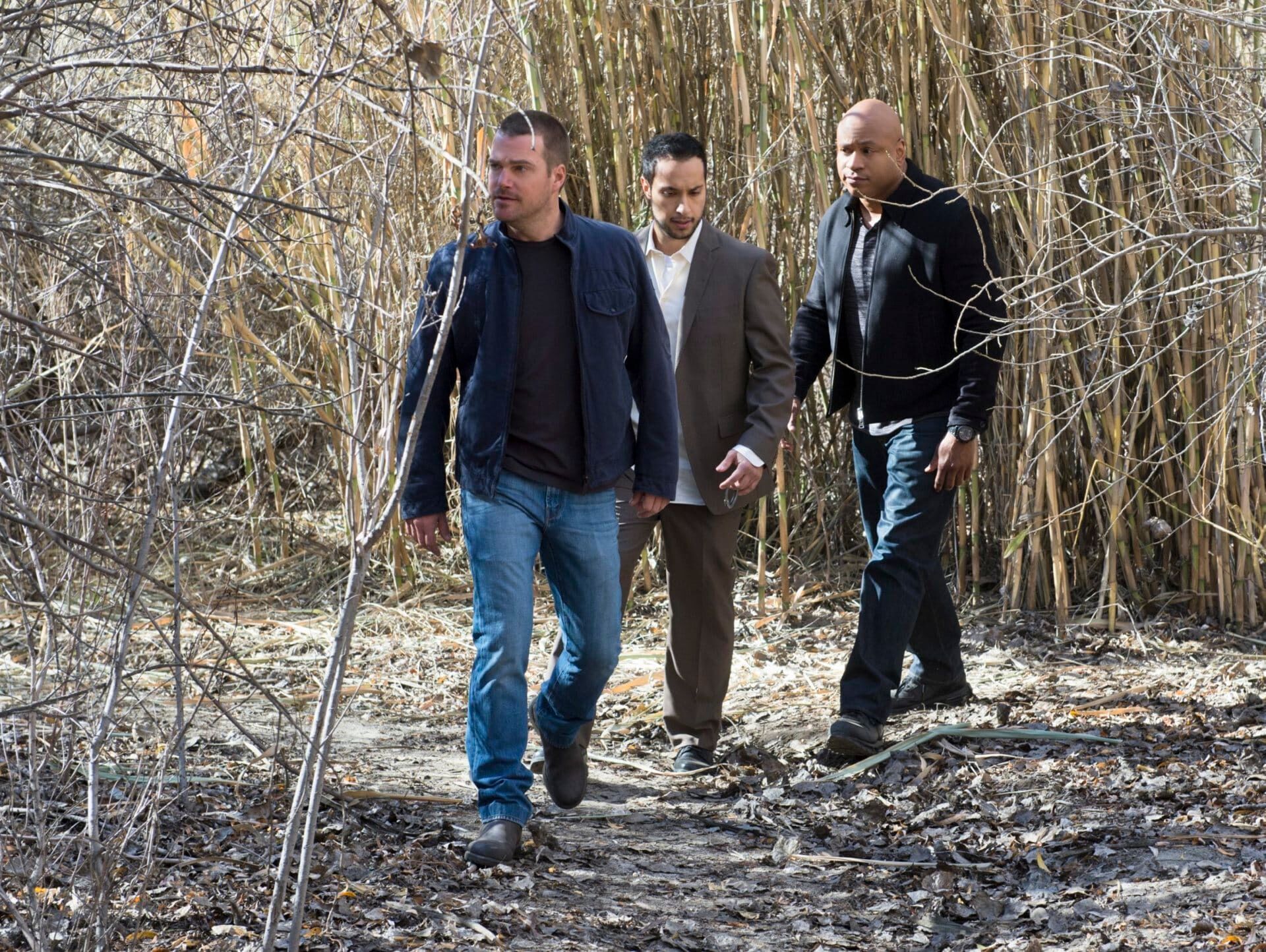 NCIS: Los Angeles - Forest for the Trees