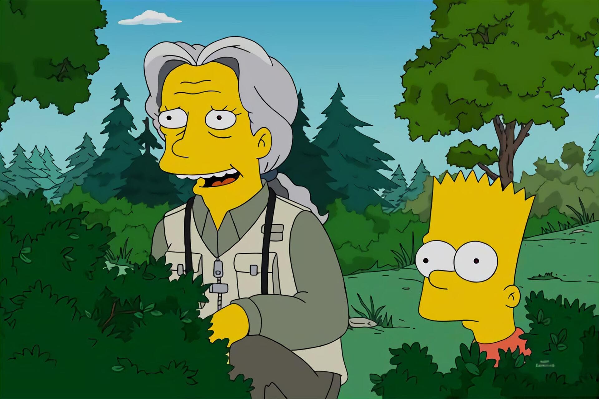 Les Simpson - A la recherche de Mister Goodbart