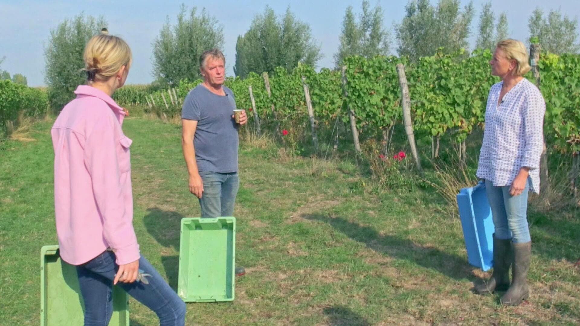 Chateau Meiland Seizoen 4 Aflevering 15