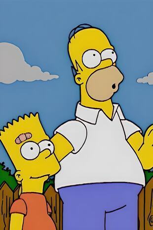 The Simpsons Seizoen 14 Aflevering 19