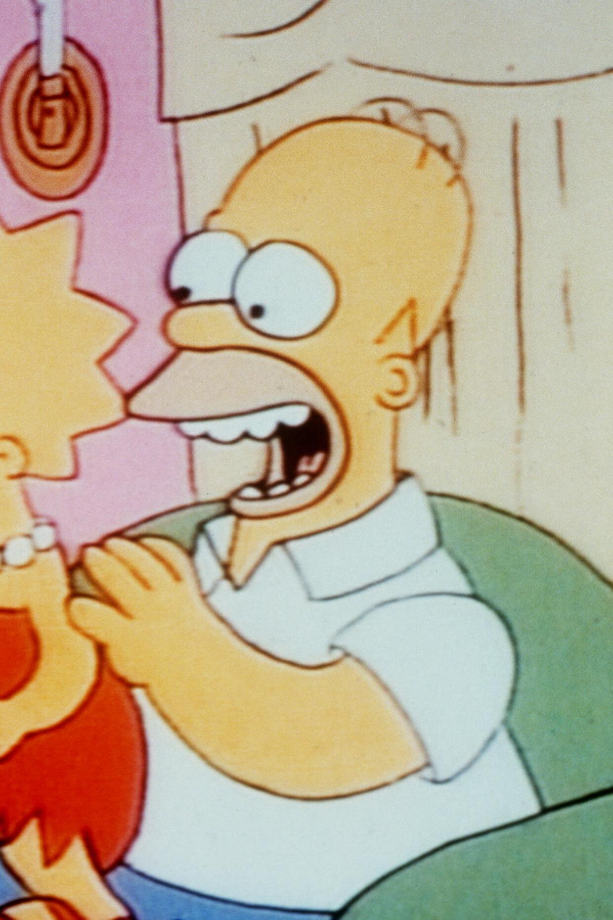 Les Simpson - Bart le génie