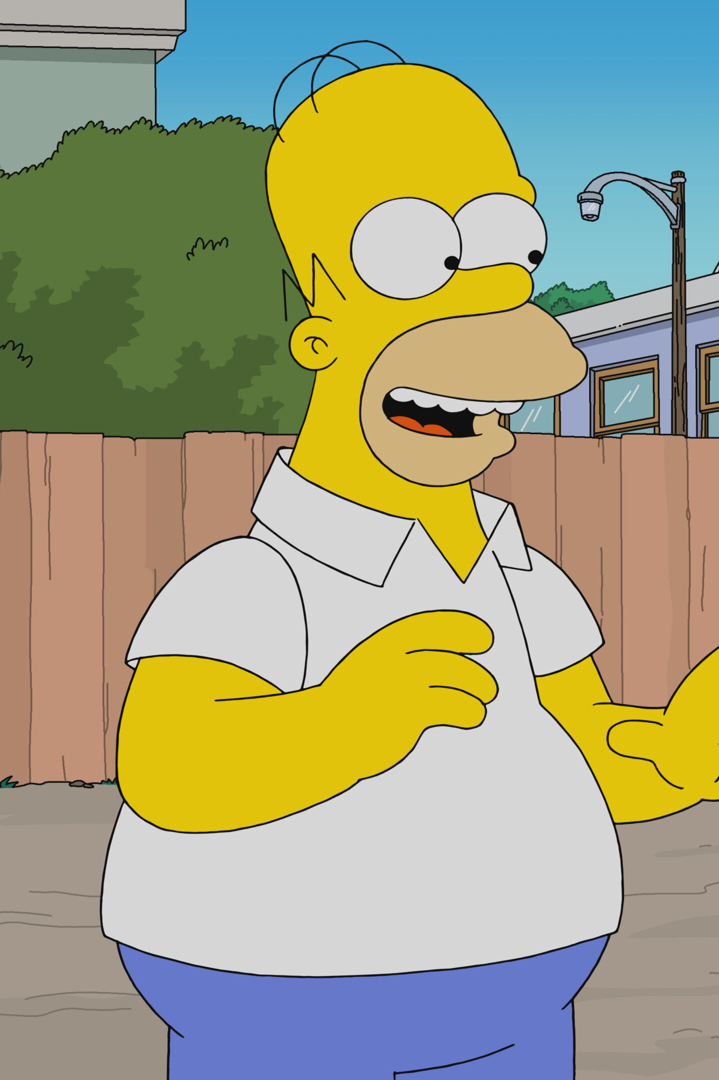 The Simpsons - Yokel Hero