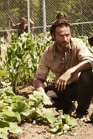 The Walking Dead: Invazia zombi Sezonul 4 Episodul 3