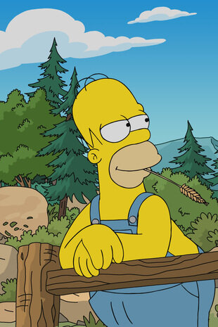 Les Simpson Saison 31 Épisode 18