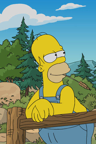 Les Simpson Saison 31 Épisode 18