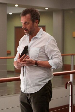 Dr House Saison 8 Épisode 15