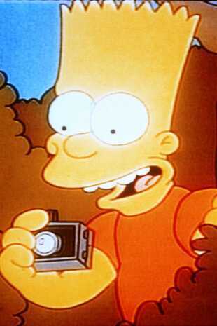 Les Simpson - L'odyssée d'Homer