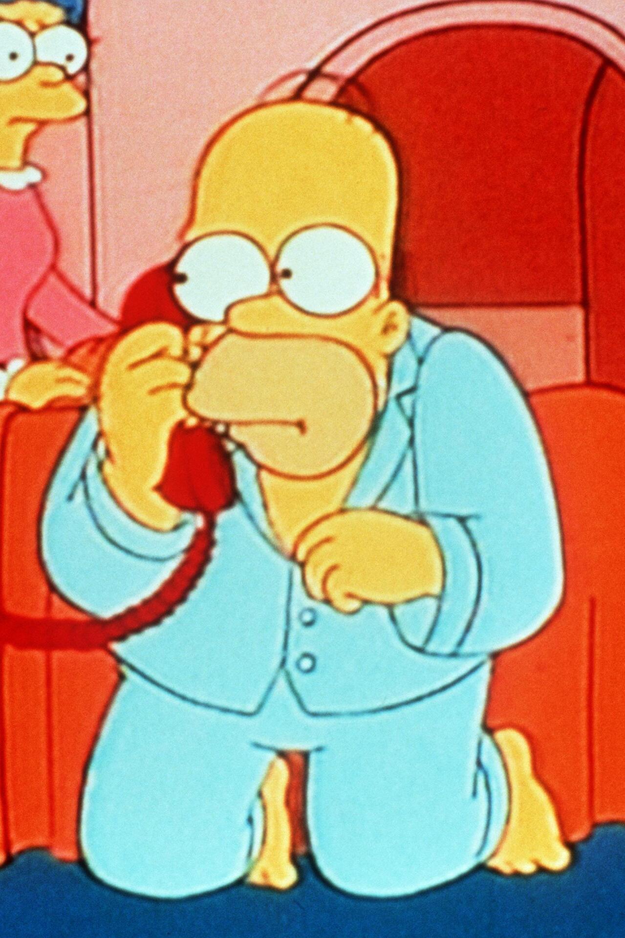 The Simpsons - Homer Badman