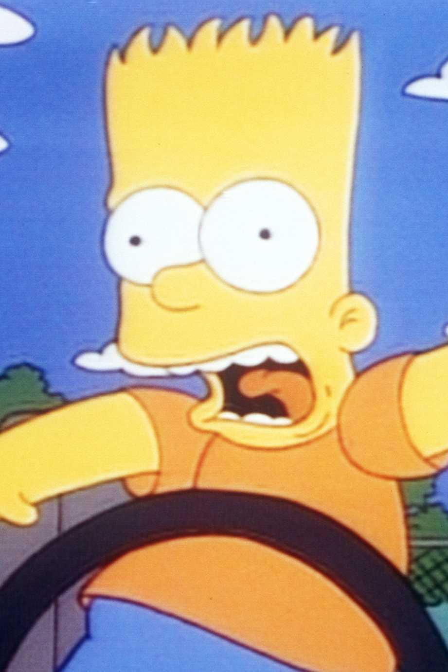 Les Simpson - Marge à l'ombre