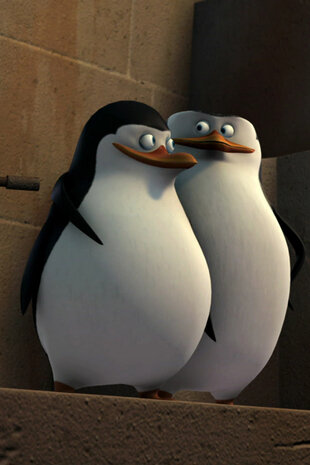 Pinguinii din Madagascar - Panica pentru Popcorn / Poza la minut