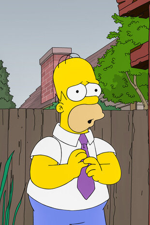 Les Simpson Saison 31 Épisode 6