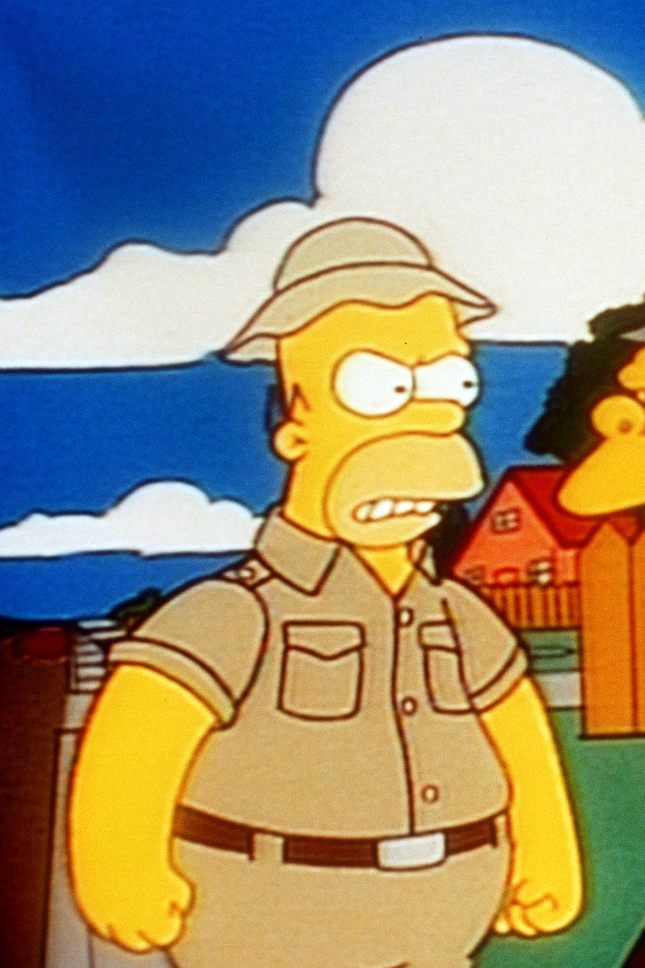Les Simpson - Erreur sur la ville