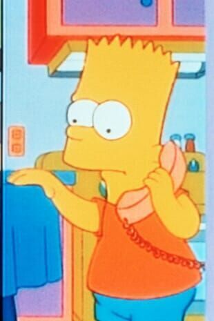 Les Simpson - Bart contre l'Australie