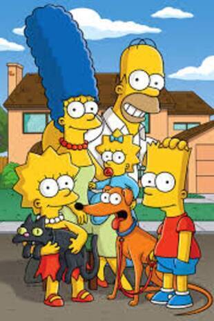 The Simpsons Seizoen 25