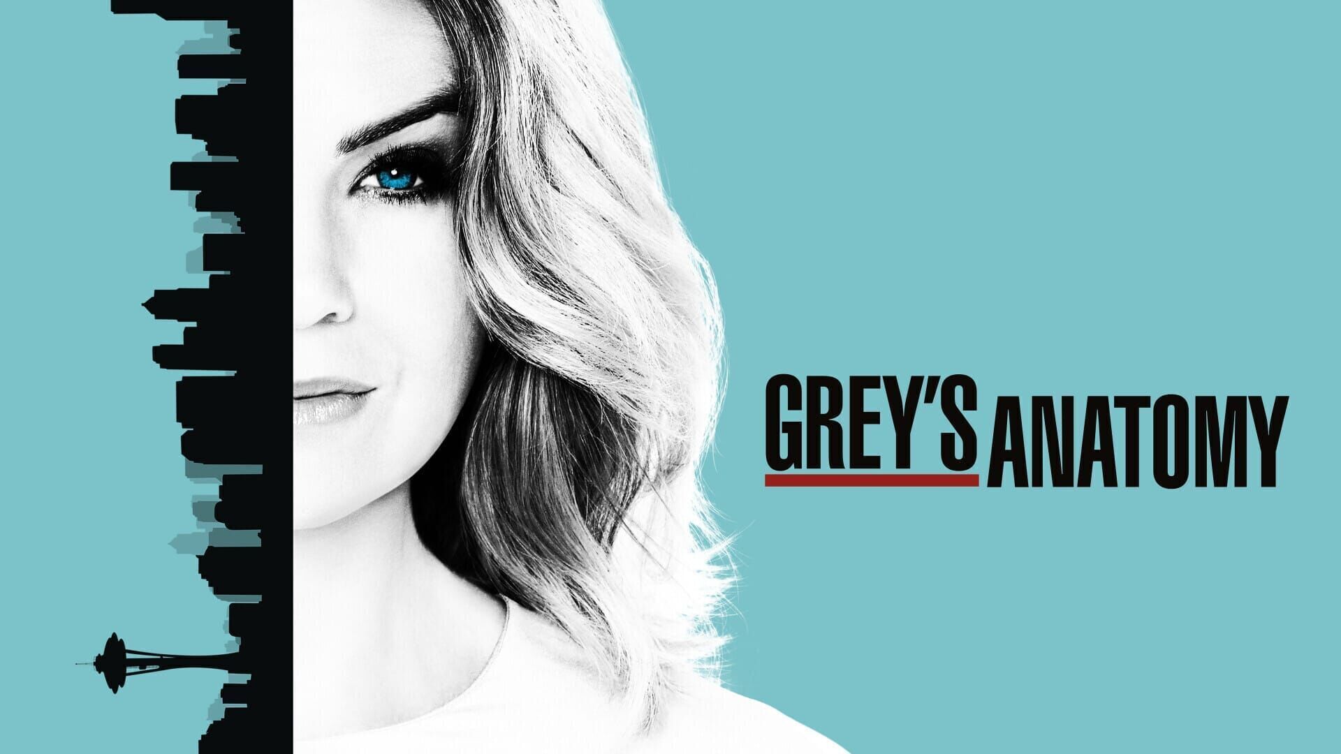 Anatomia lui Grey Sezonul 19 Episodul 19